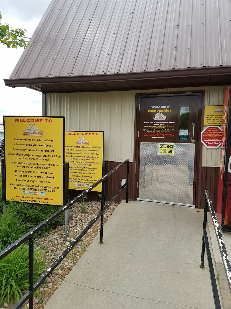 EwePullet Self Service Used Auto Parts Used auto parts store In