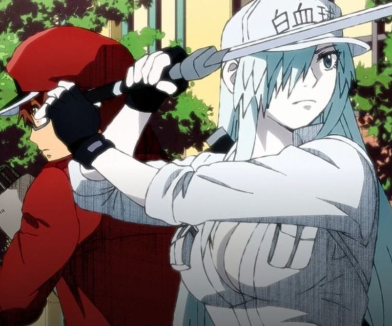Share 74+ white blood cells anime super hot in.cdgdbentre