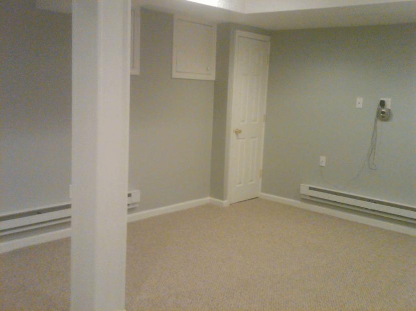 Bergen County Basement Remodeling NJ Mold Remediation