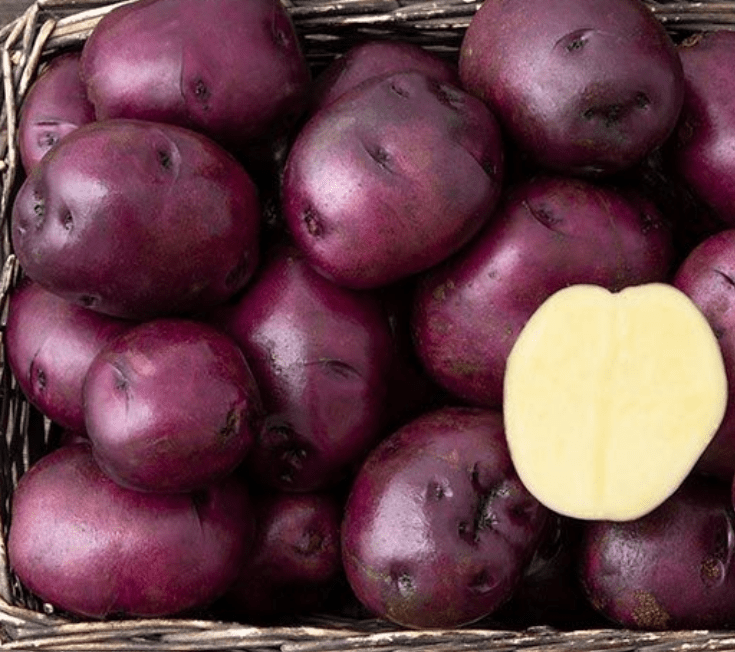 Potato, Huckleberry Gold Jupiter Foods