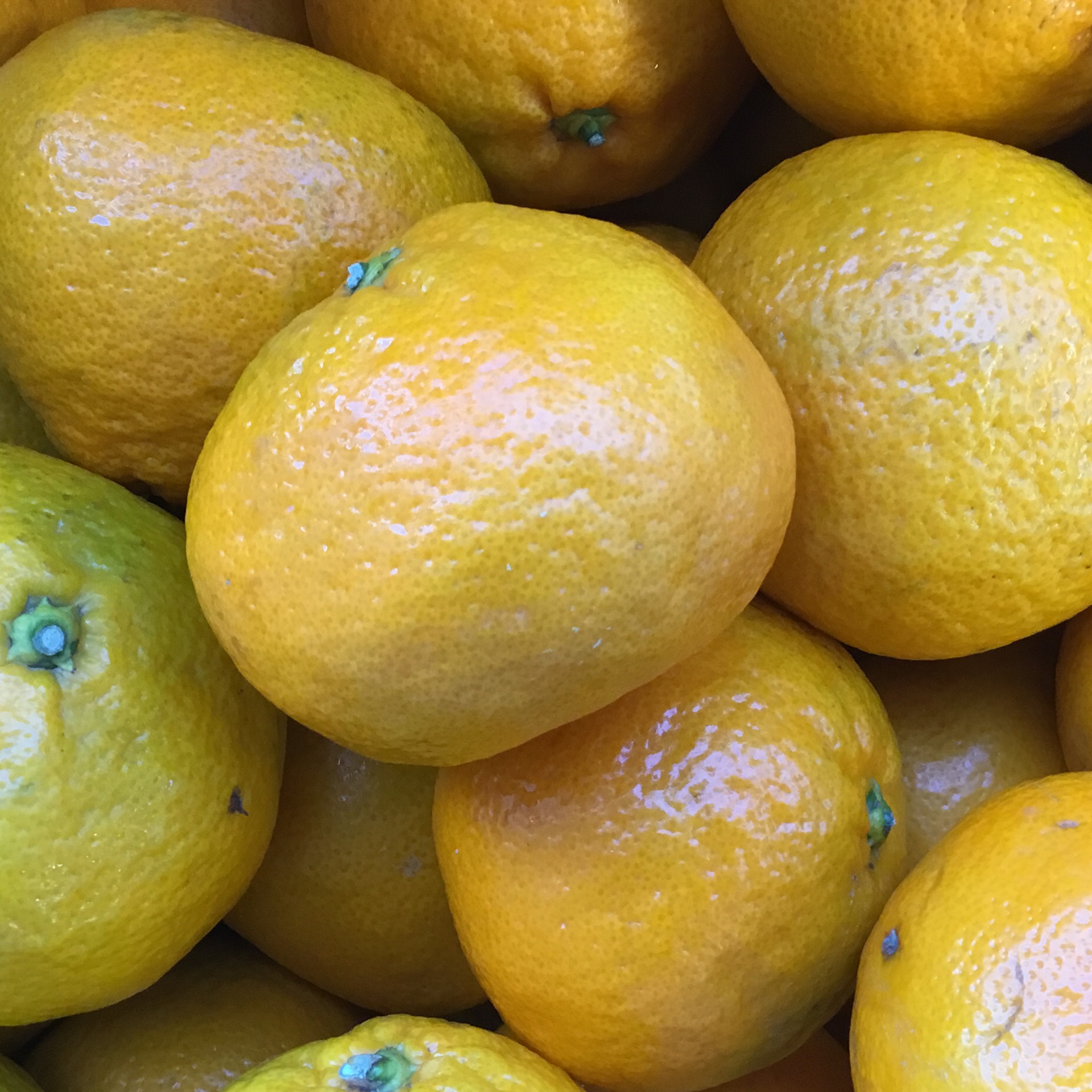 Tangerine, Satsuma Jupiter Foods