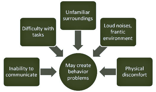 Dementia And Aggression - Jura Care Village