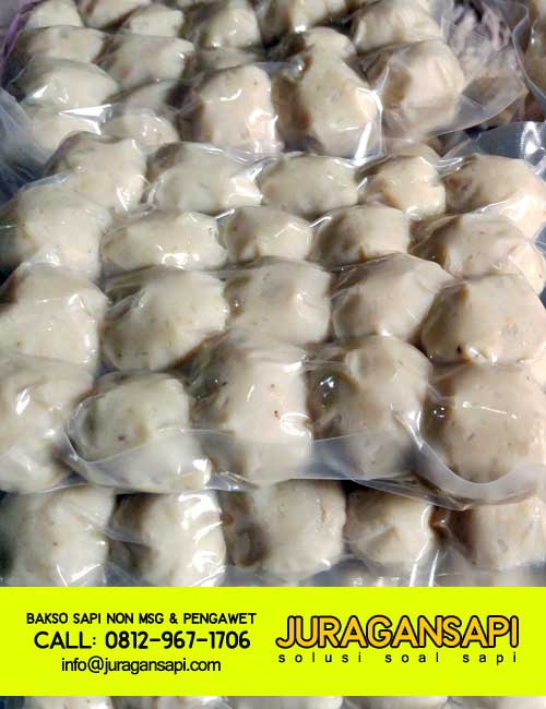 jual-bakso-sapi-murah