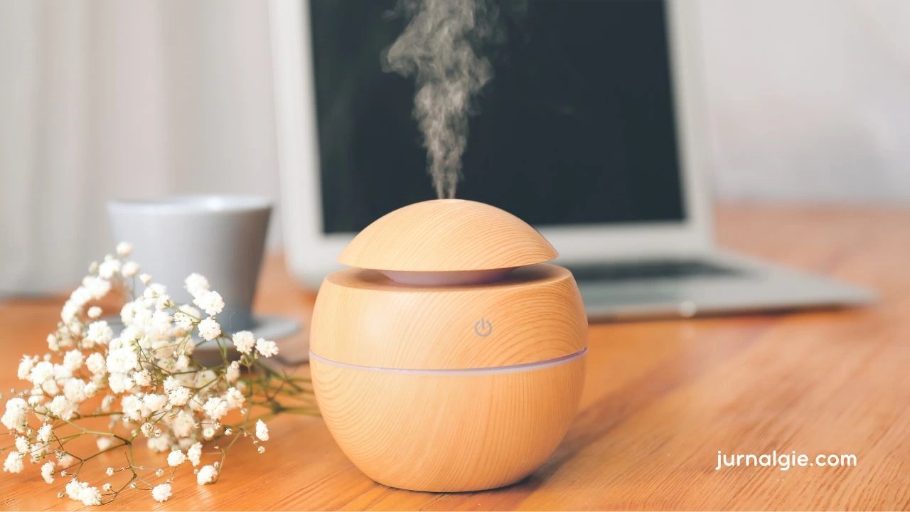 Diffuser Artinya Berbeda dengan Humidifier, Yuk Cari Tahu Perbedaannya