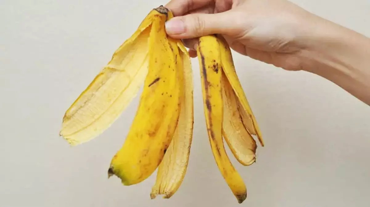 Those who throw banana peels in the garbage regret it! Miracle full of