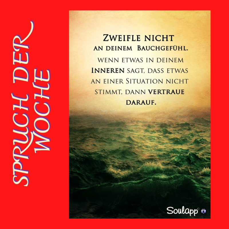 Jetzt Auch Auf Instagram / Jugendservicemse 800_x_800_png