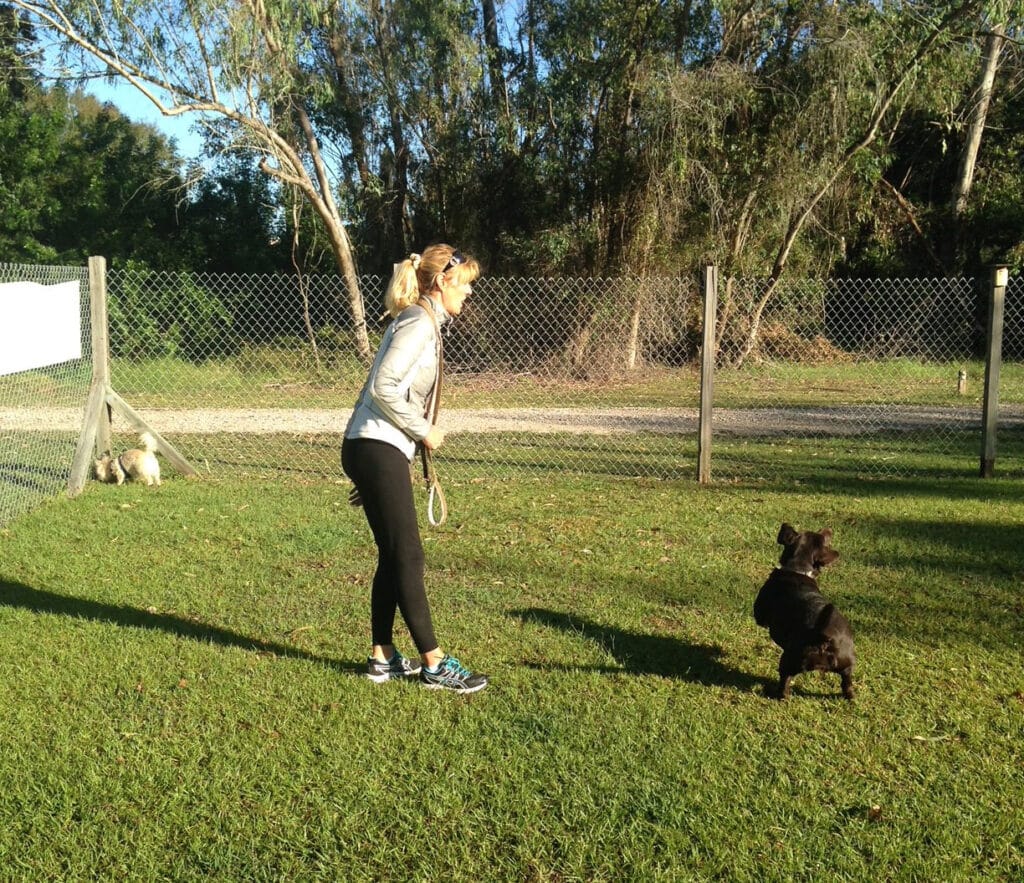 Photo Gallery Just4Paws Pet Boarding in Sarasota