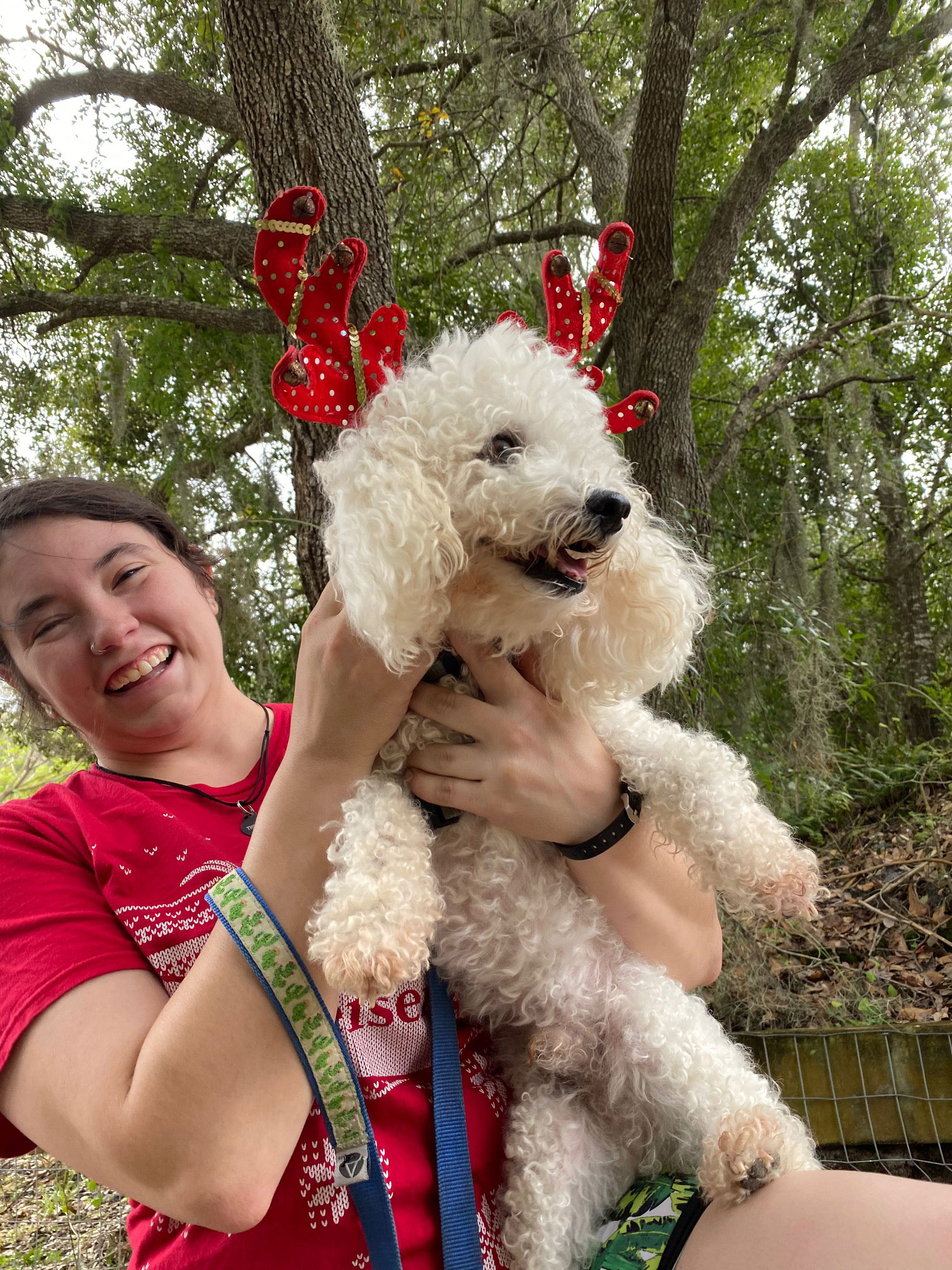 Photo Gallery Pet boarding Sarasota, Dog Boarding SarasotaPet boarding Sarasota, Dog Boarding