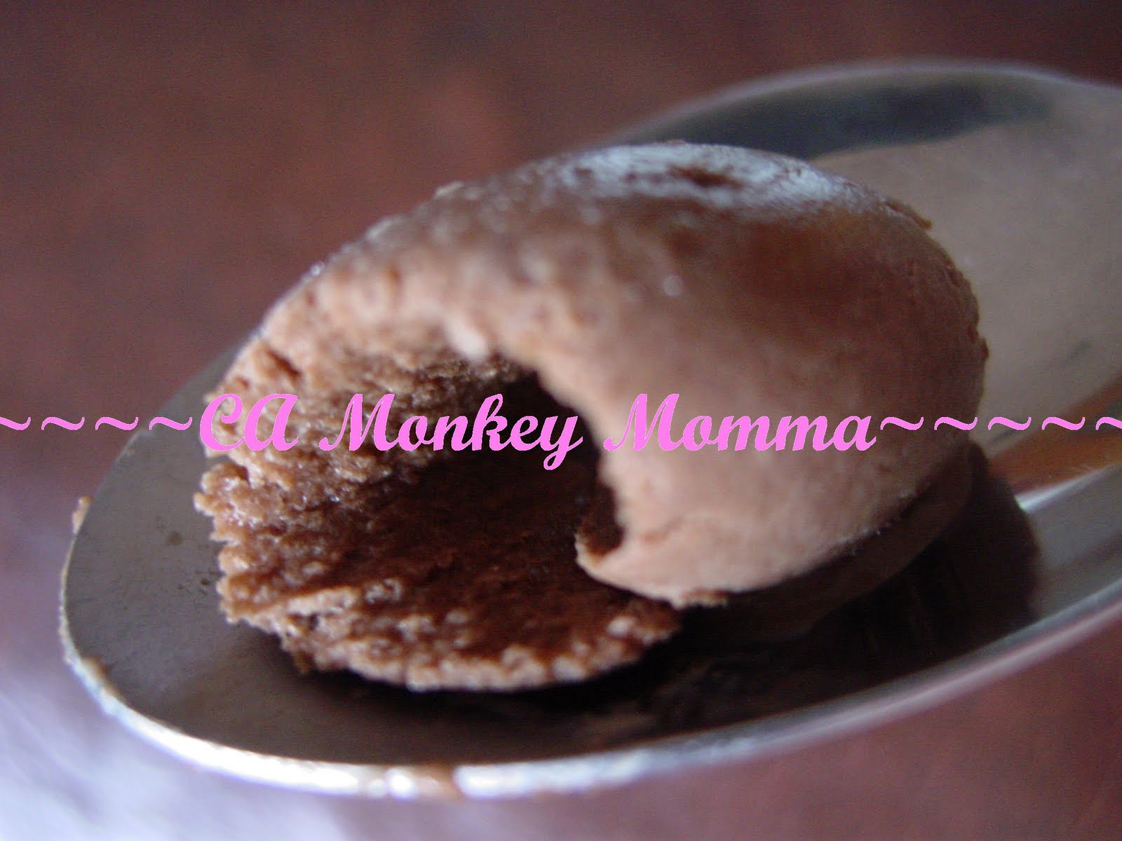 Alton Brown’s Chocolate Ice Cream Recipe just4temp