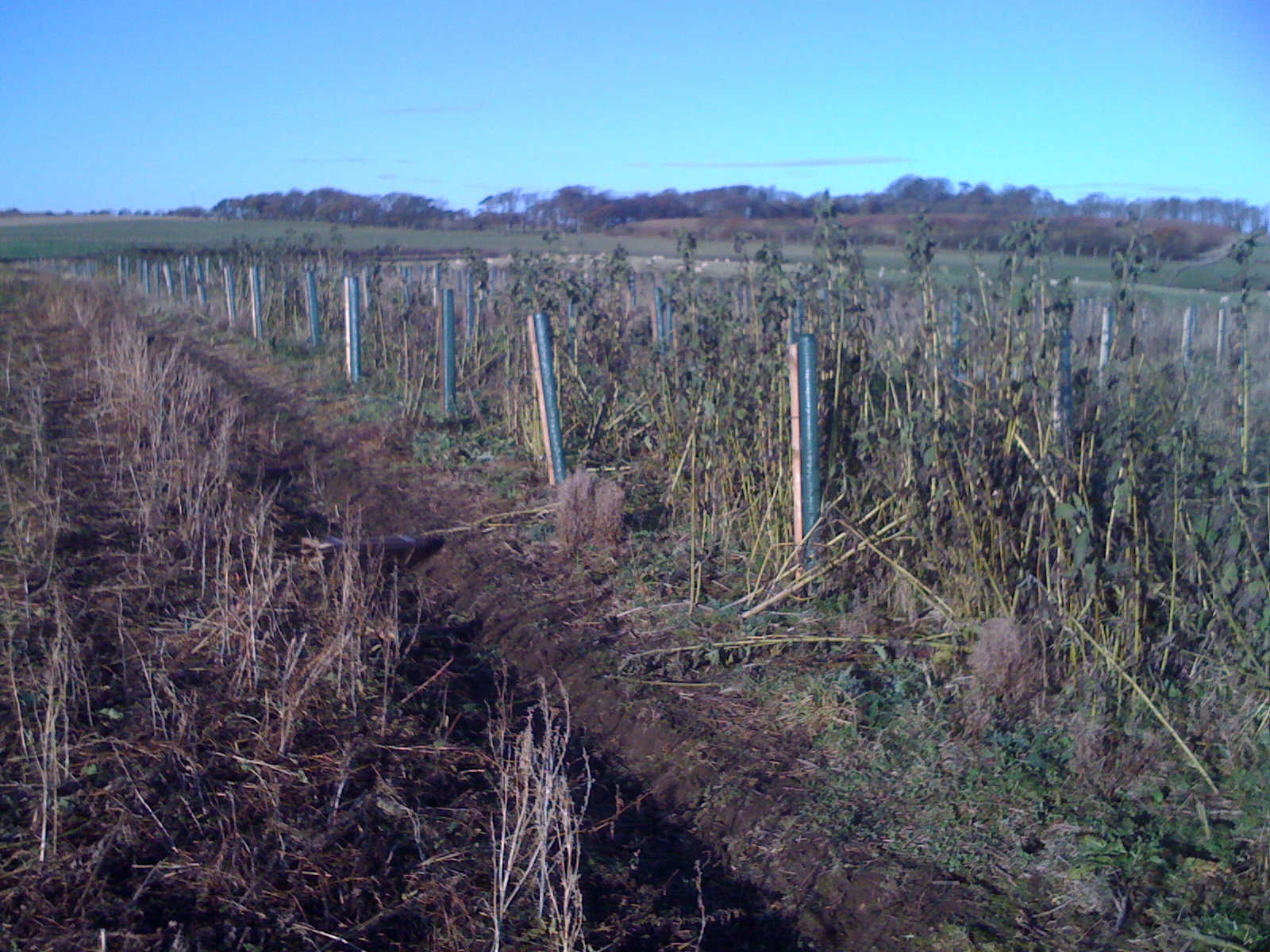 wild game Just About Farming