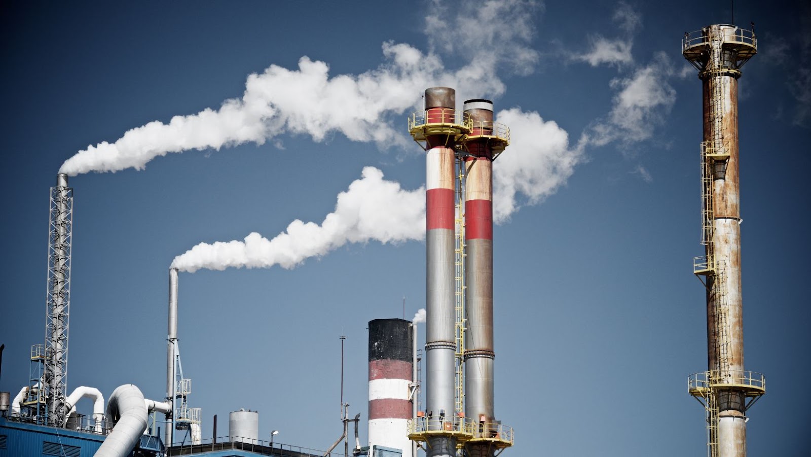 TCE Found in the Drinking Water at Camp Lejeune JustALittleBite