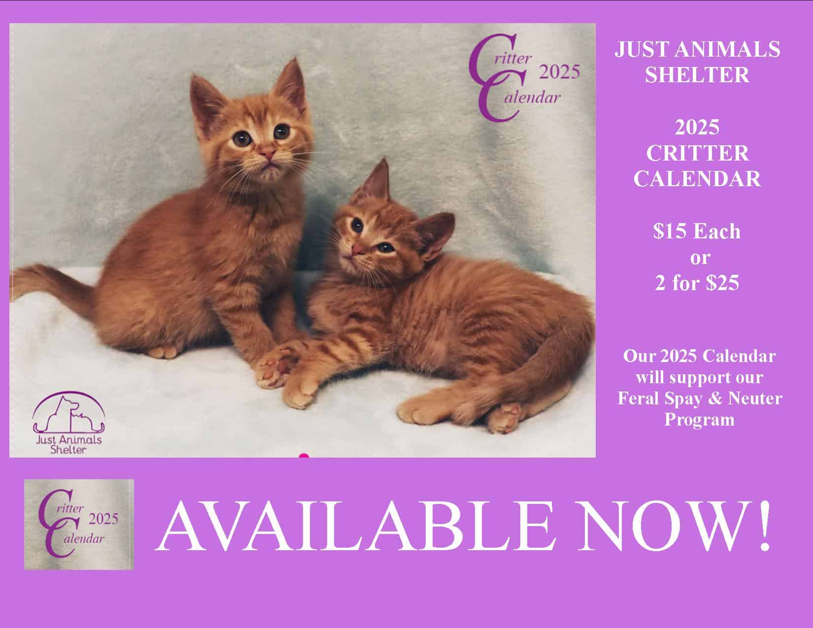 Critters Calendar Just Animals Shelter of Mazon, IL