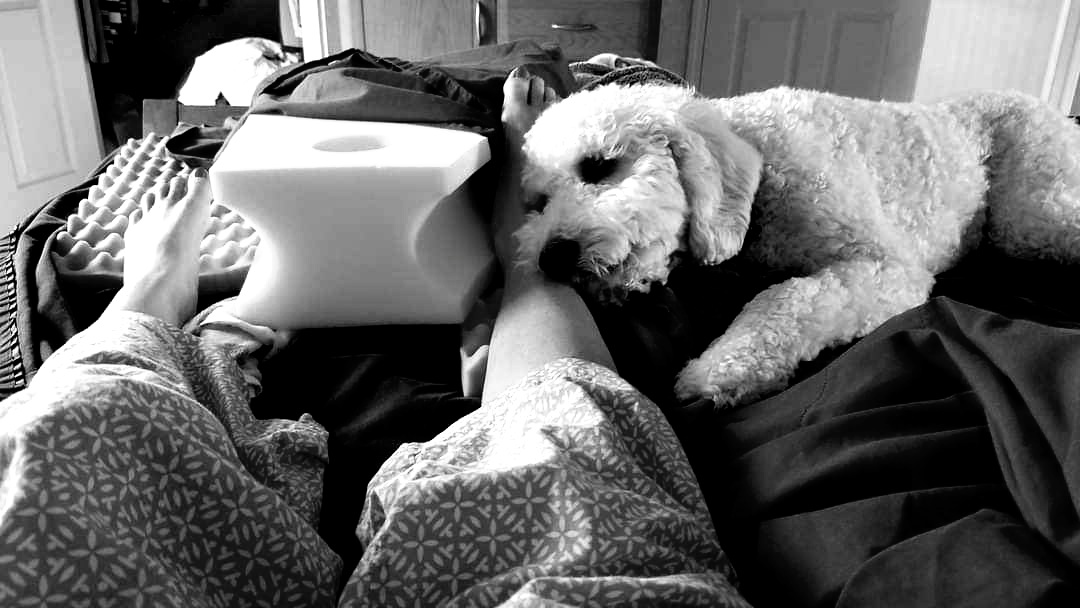 MY WEIGHTED BLANKET Join Us Down The Illness Rabbit Hole