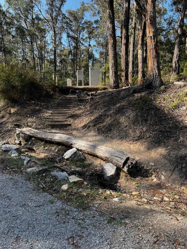 Exploring the Historic Stony Creek and Wairewa Trestle Bridge Just Be