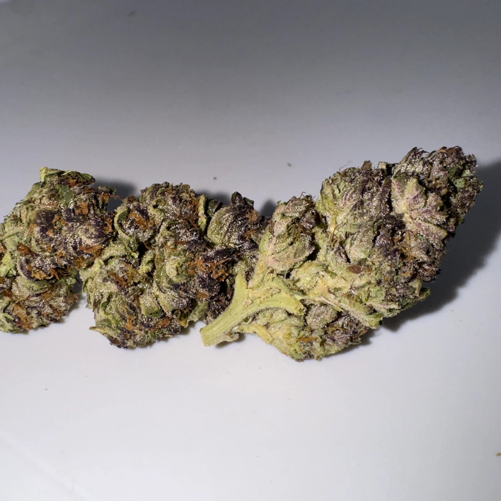 Exotic Gelato Zkittles INDICA HYBRID Blaze DC