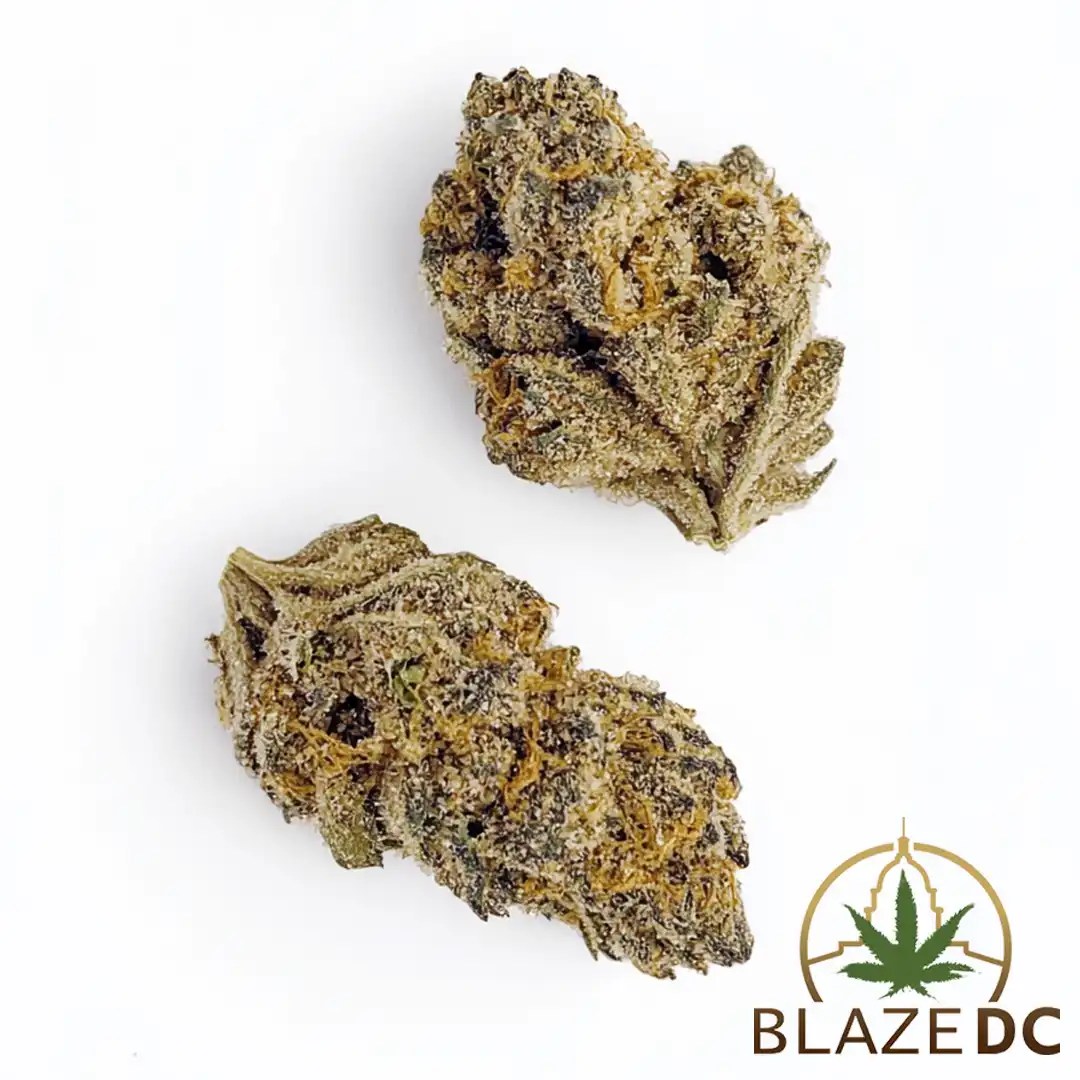 Nana's Wedding Cake Hybrid Flower Blaze DC