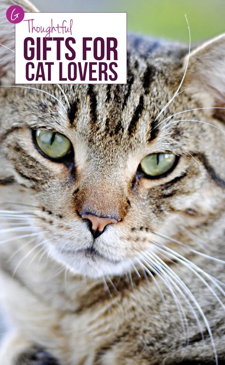 Gifts for Cat Lovers 12 Cat Gift Ideas for the Crazy Cat Lady in Your