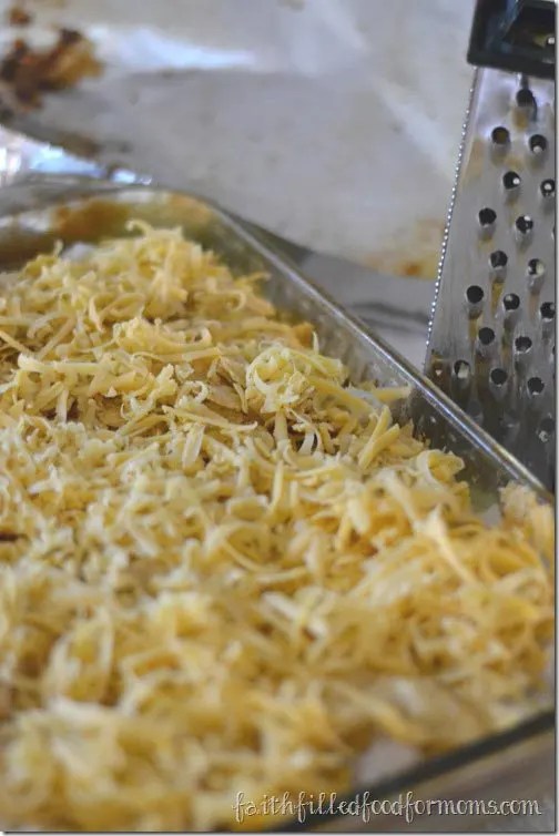 Easy Chicken Enchilada Recipes for Kids