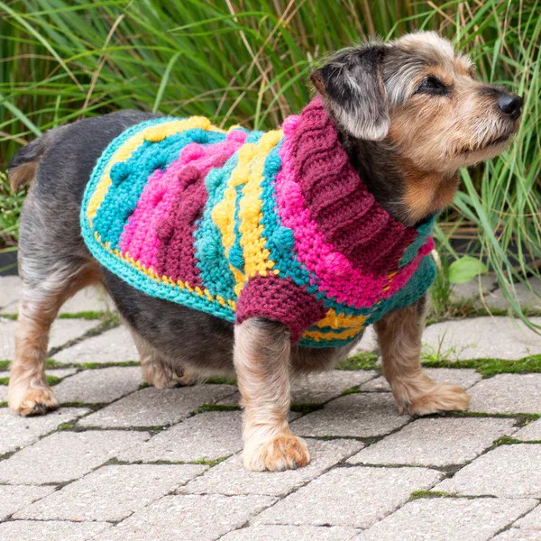 16 Free Dog Sweater Crochet Patterns Adorable Designs for Your Pup