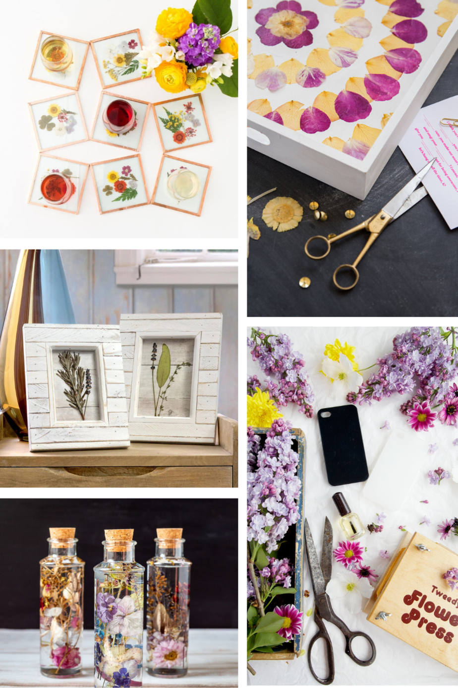19 Pressed Flower Crafts You Didn't Know Existed (But need to