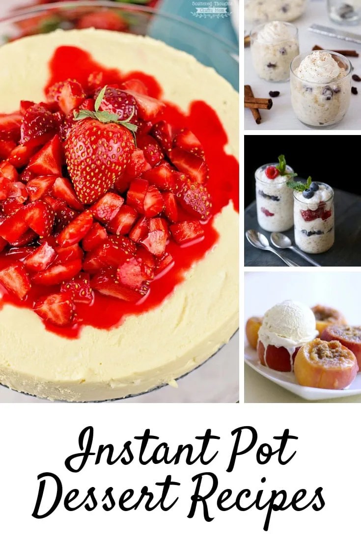 Instant Pot Dessert Recipes {You've never tasted pudding so good!}