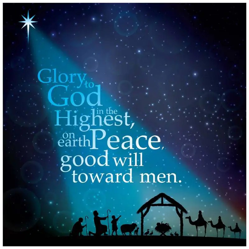 Starlight Christmas Cards Just Cards Direct Christian Greetings
