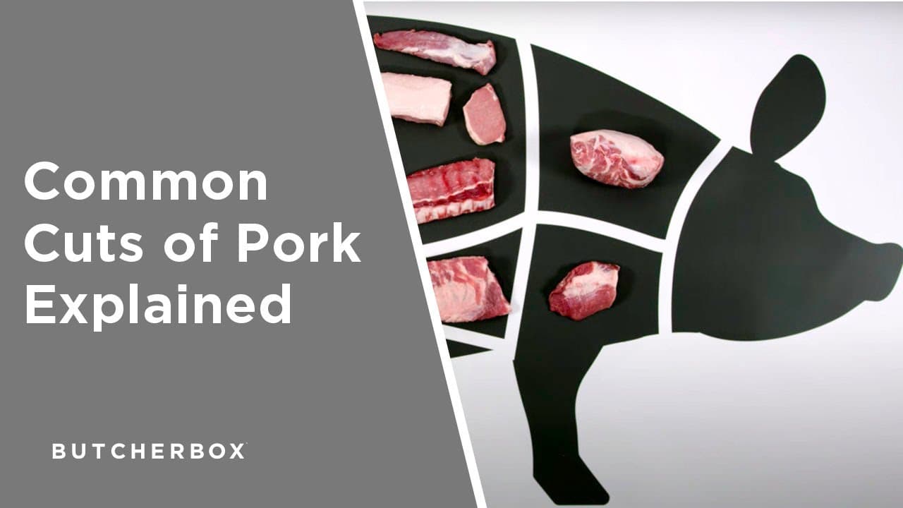 Concept Map For Porkchop Common Cuts of Pork Explained The ButcherBox Pork Map Just Cook by