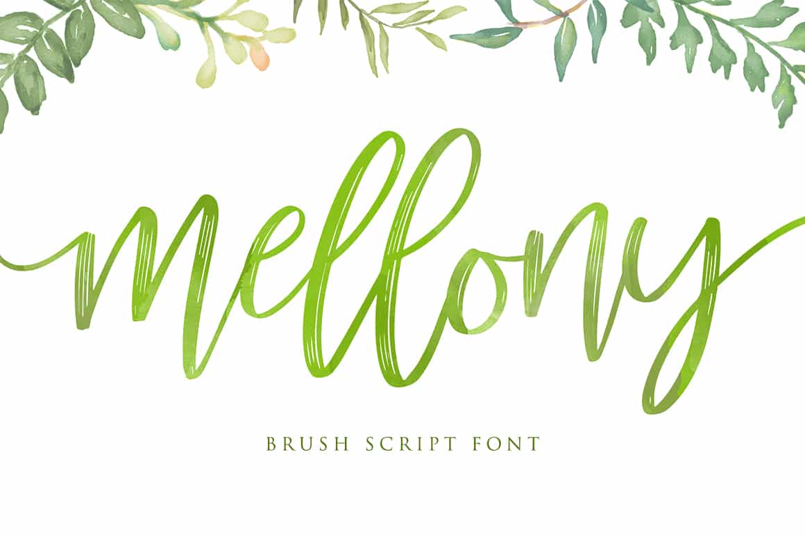 40+ Best Brush Script Fonts (Free & Premium)