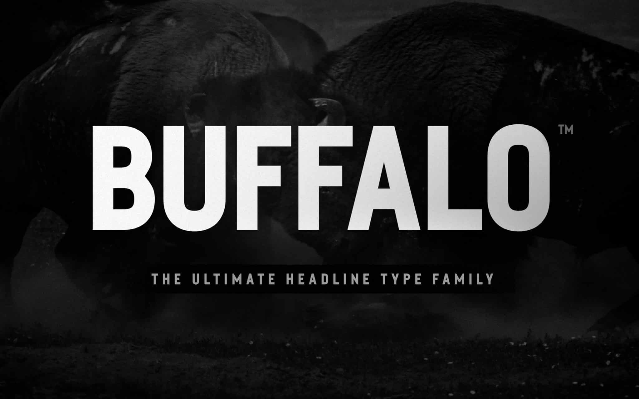25+ Best Headline Fonts Perfect for Headers & Titles JUST™ Creative