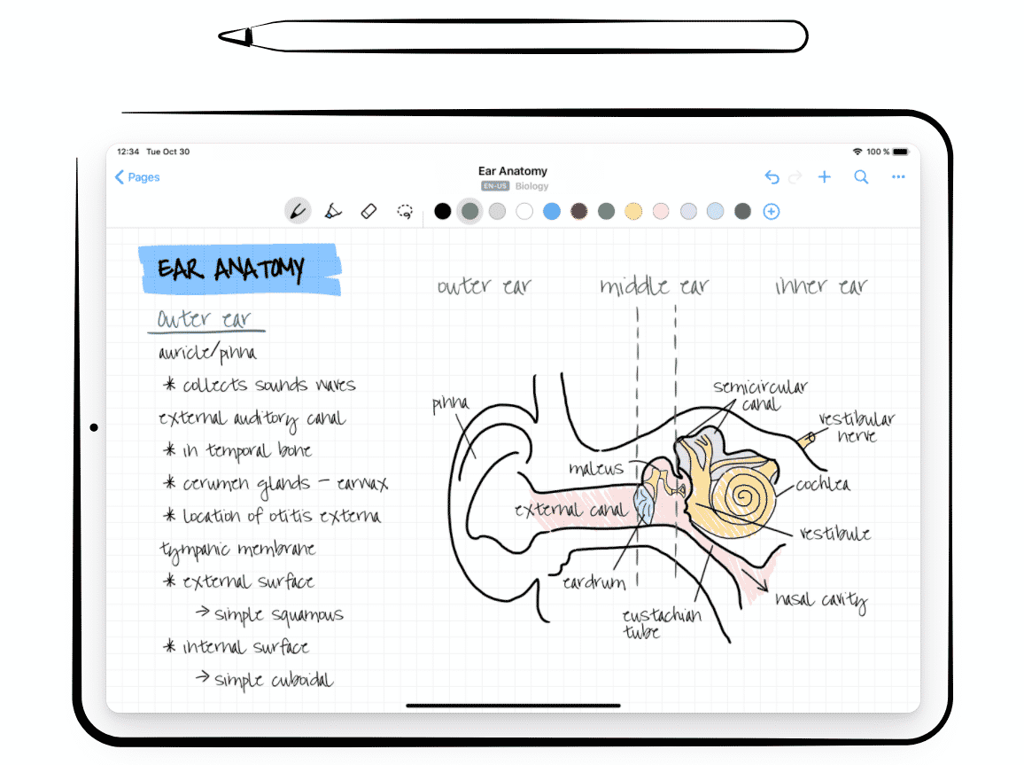 15+ Best Apps for Apple Pencil in 2022 (July)