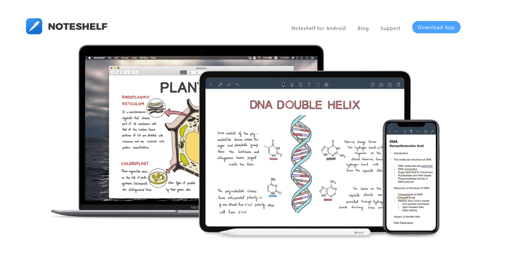 15+ Best Apps for Apple Pencil in 2022 (July)