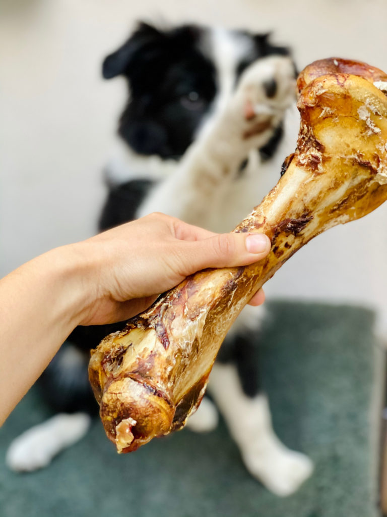 Best Ostrich Bones for dogs in the UK Just Dog Treats
