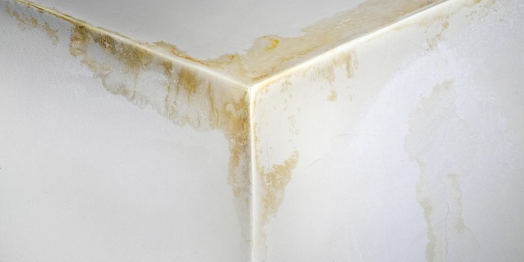 Should I Buy a House With a Bulging Wall? Just Do Property