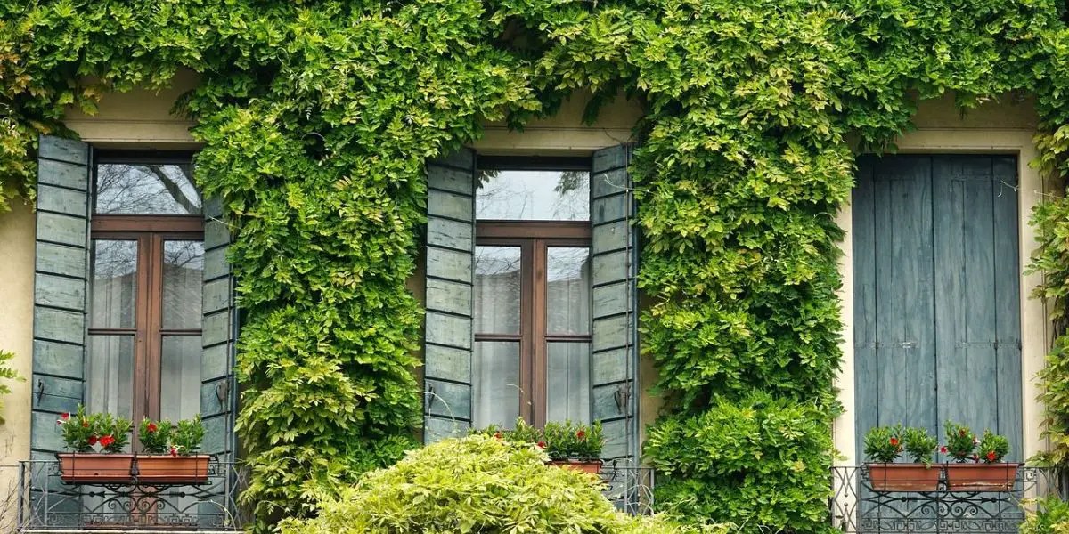 Can you walk out on a Juliet balcony? Just Do Property