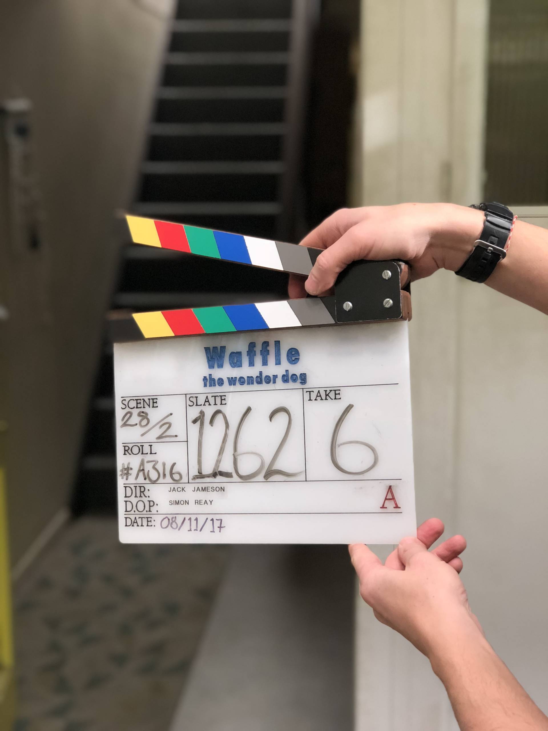 Waffle The Wonder Dog the newest CBeebies programme to enjoy as a family