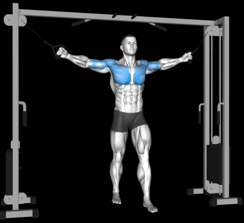 Cable Fly Exercise Guide JustFit