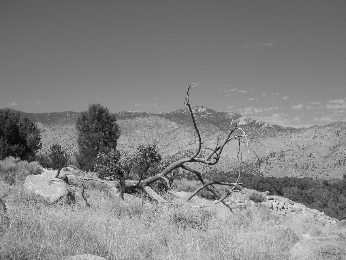Lake Isabella the carrot room