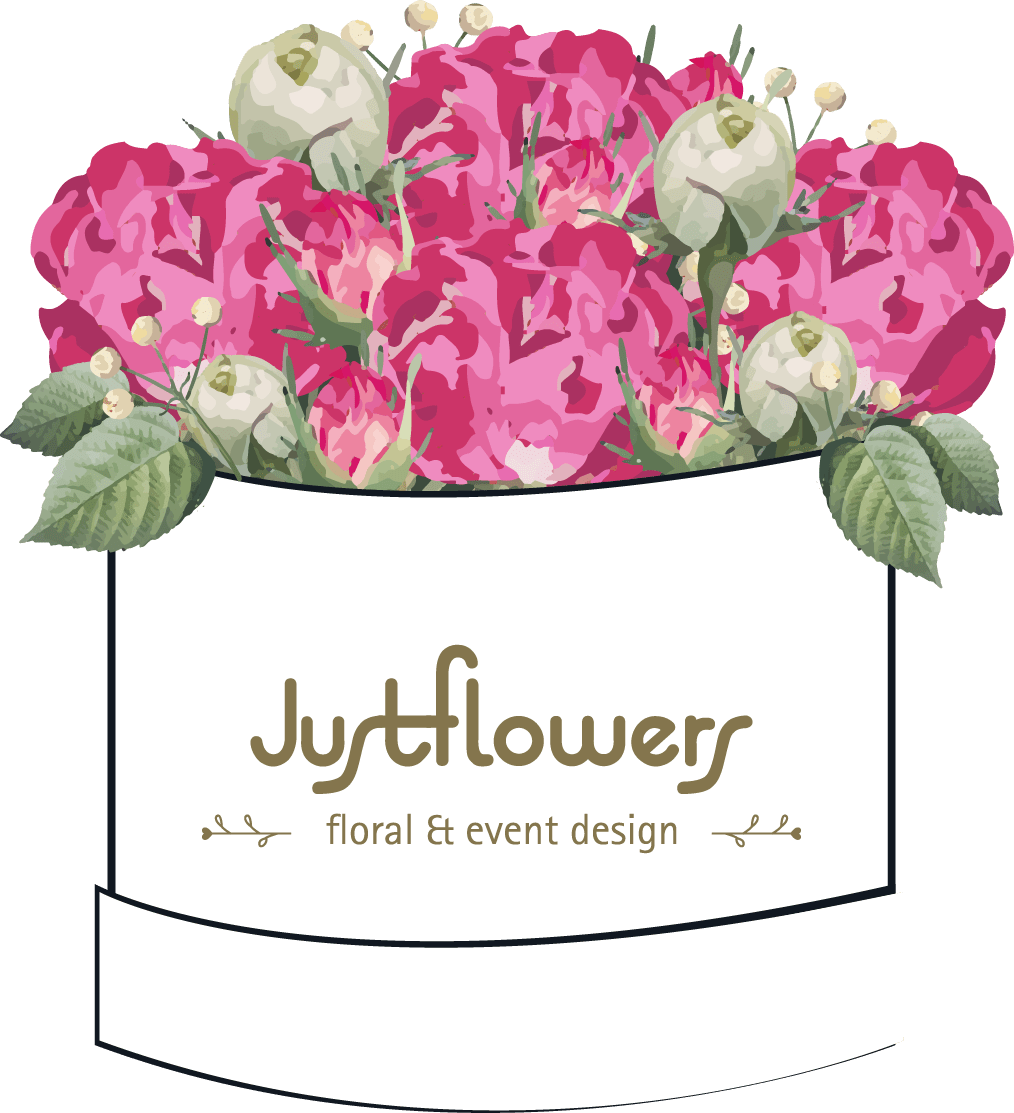 Bloom box Orquídeas Cascada XL Justflowers