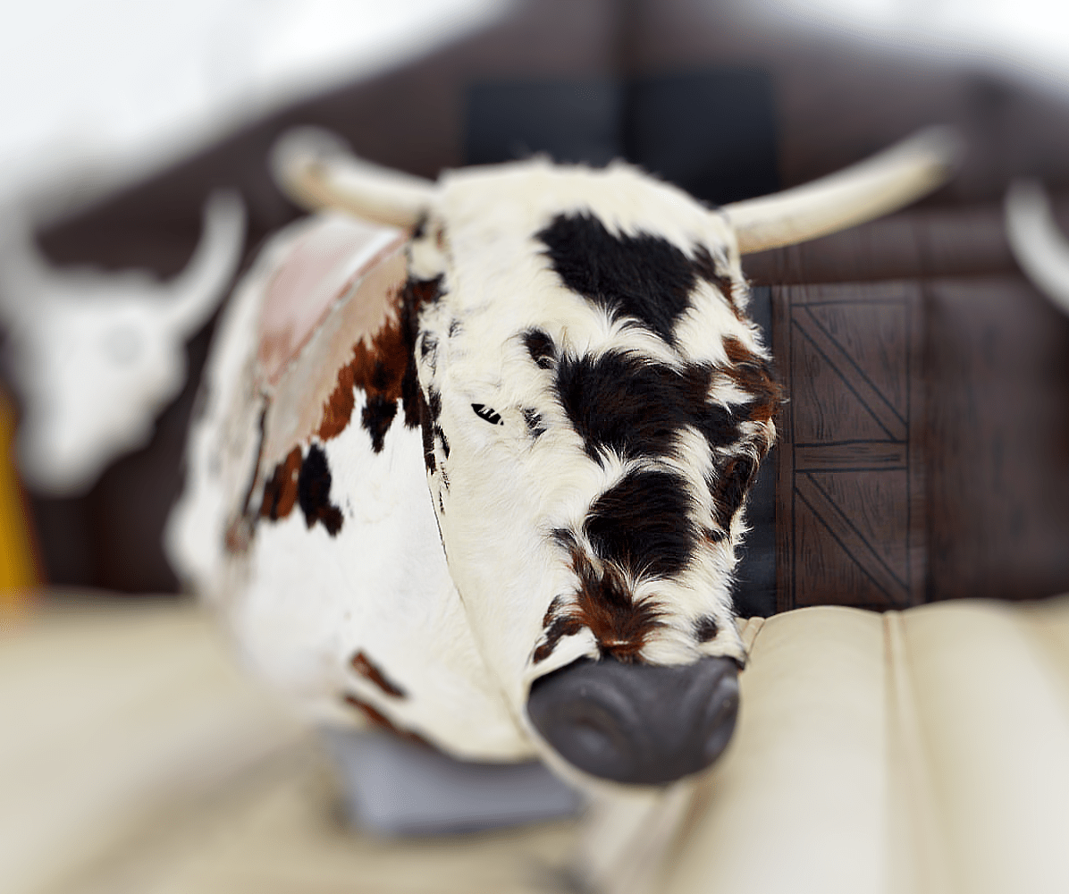 Mechanical Bull Rental, Jacksonville, Florida