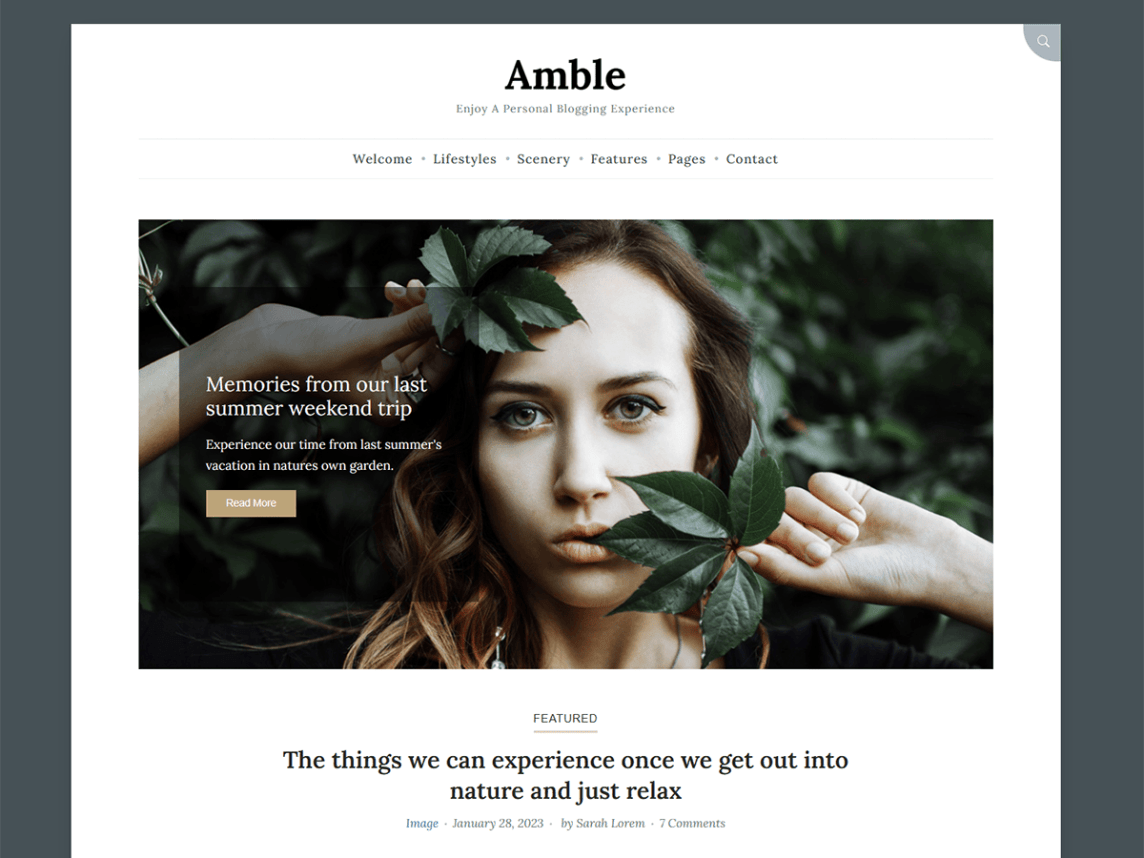 Amble Free Blogging Wordpress theme Download
