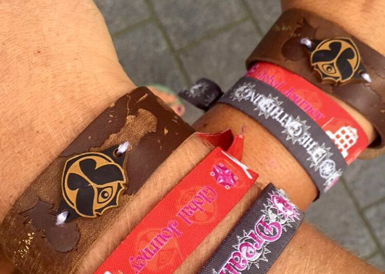 Tomorrowland Festival Guide What You Need to Know