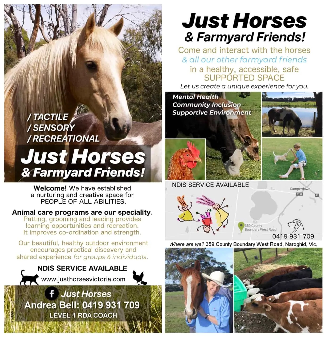 Just Horses Victoria Just Horses Victoria