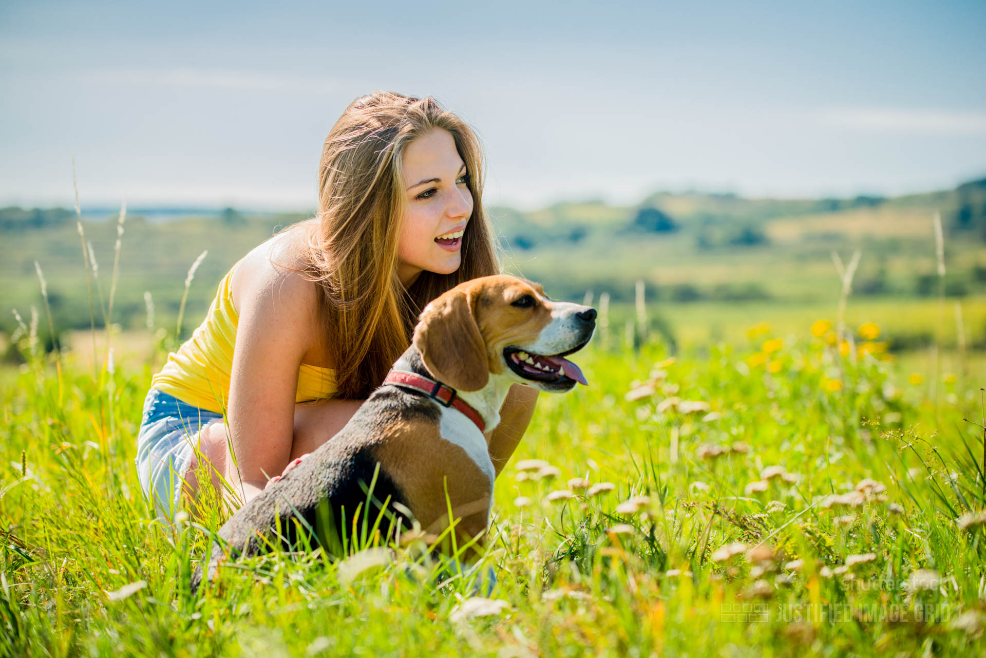 NextGEN tag galleries Justified Image Grid WordPress