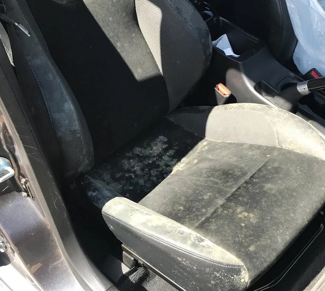 How to Remove Mold from Car A StepbyStep Guide.
