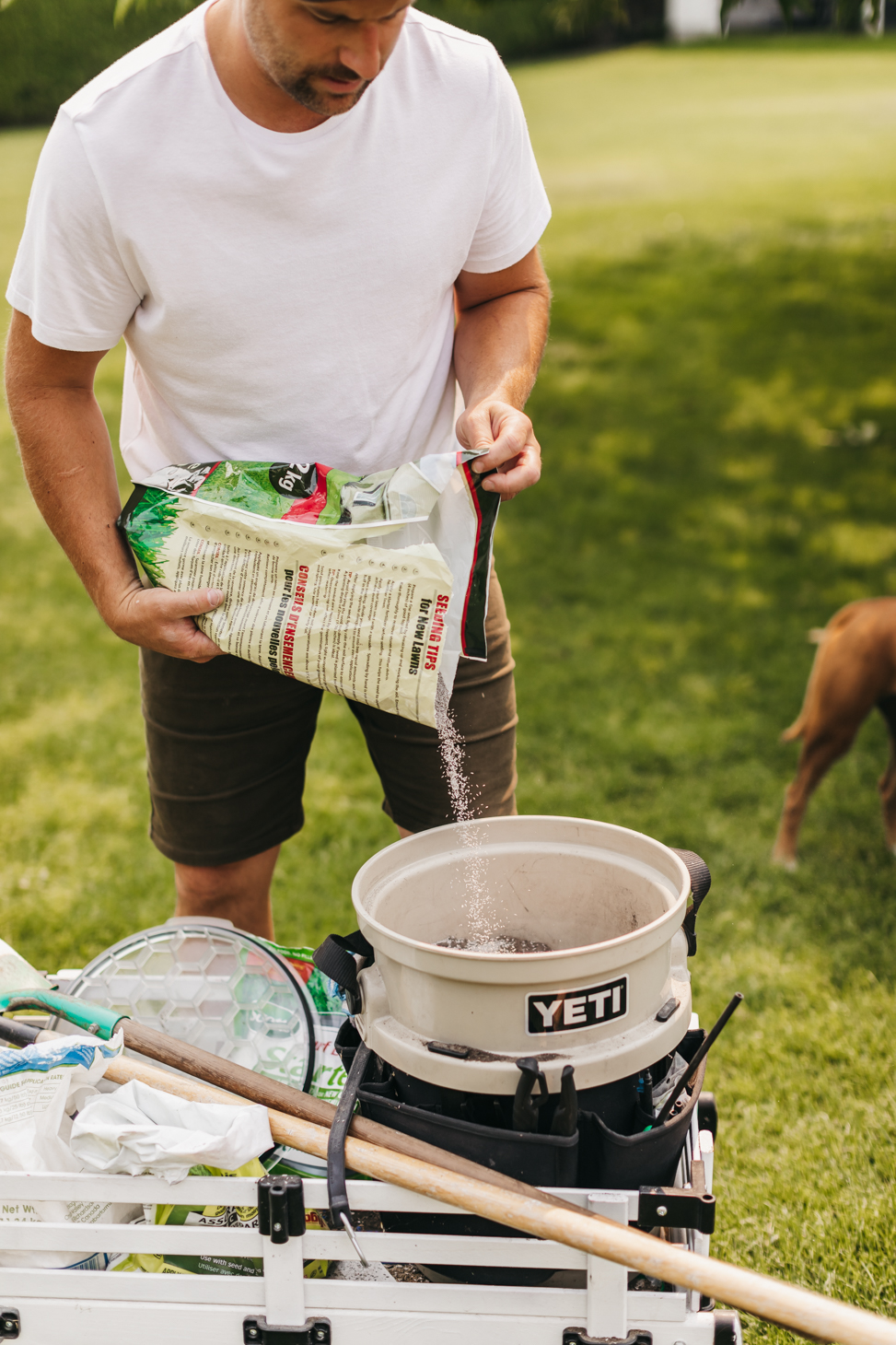 Fix Unwanted Lawn Spots With This Dog Spot Repair Mixture!