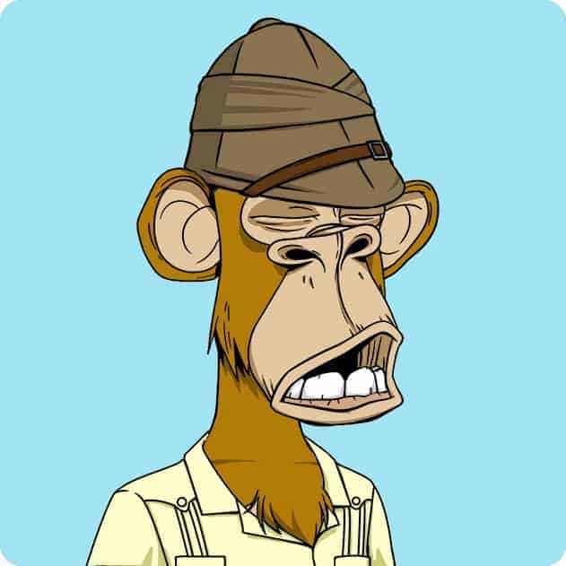 Can You Screenshot NFT Art? (Implications Fully Explained!)