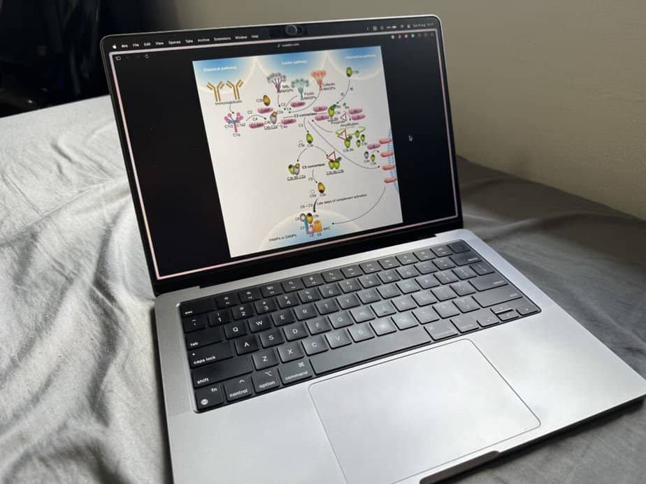 5 Best Laptops for Biology Majors (Updated 2024)