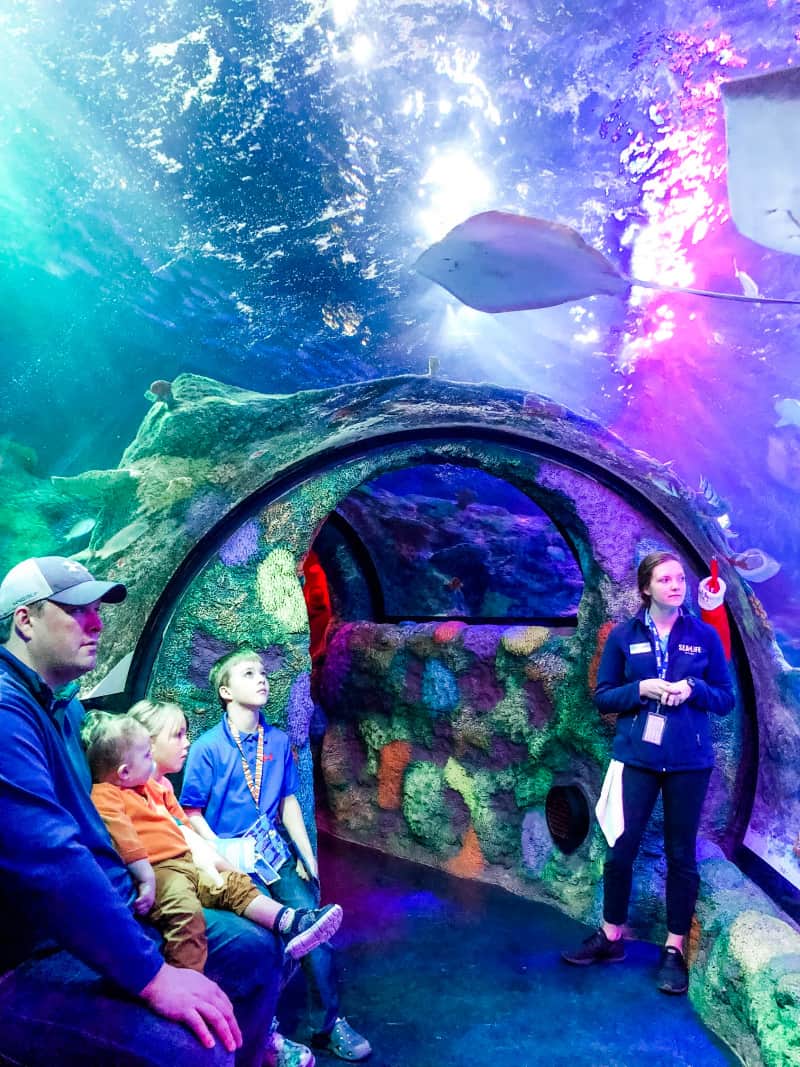 Sea Life Aquarium, Auburn Hills Michigan Just KIDing Mama