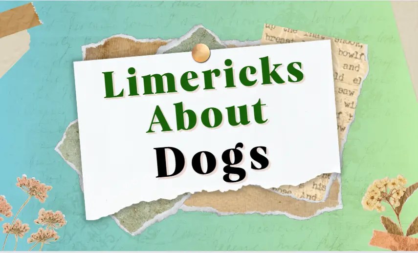 110 Limericks About Dogs Whimsical Tales in Dog Limericks