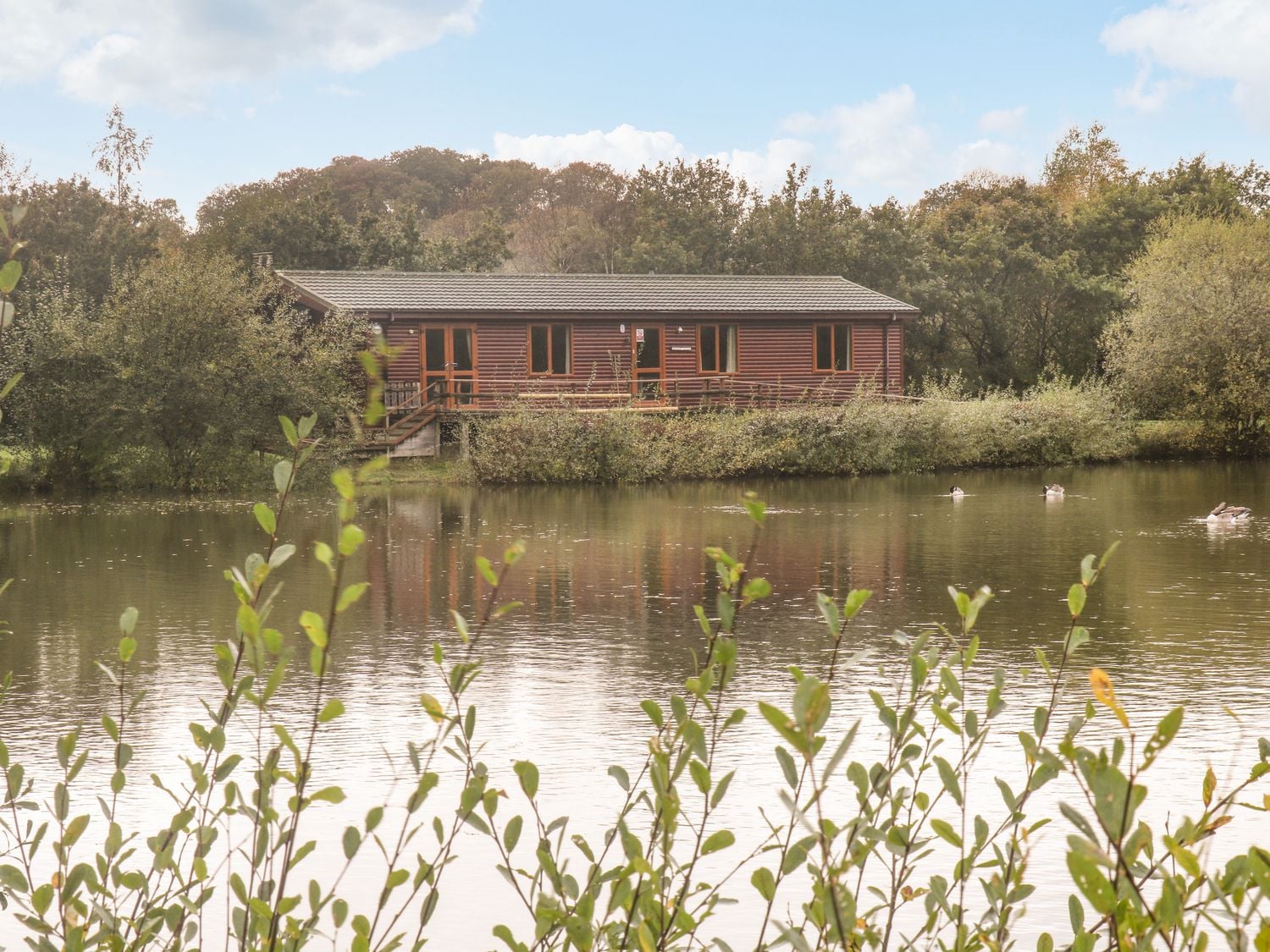 Orchard Lakes, pet friendly fishing lodges in Devon